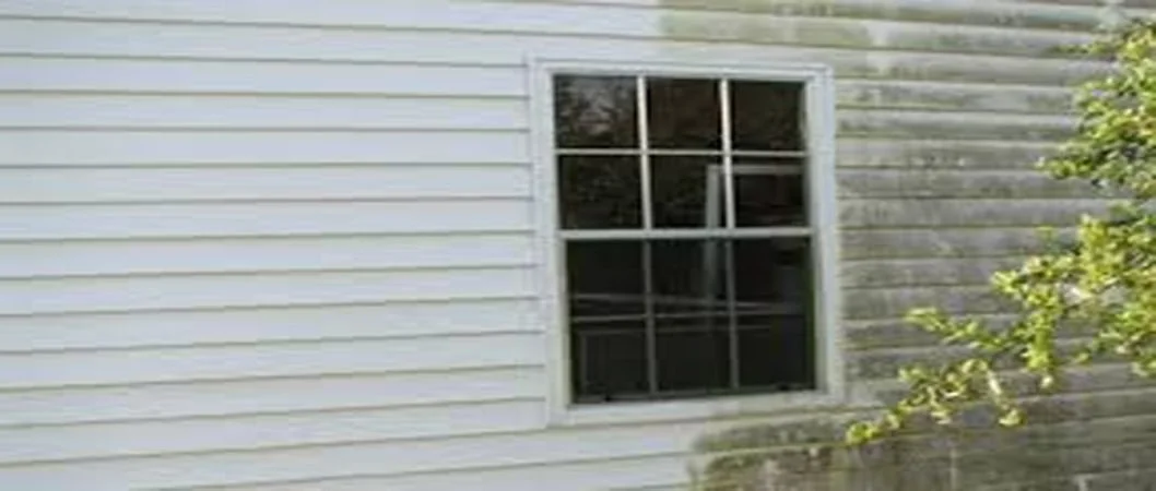 Exterior house wash in progress