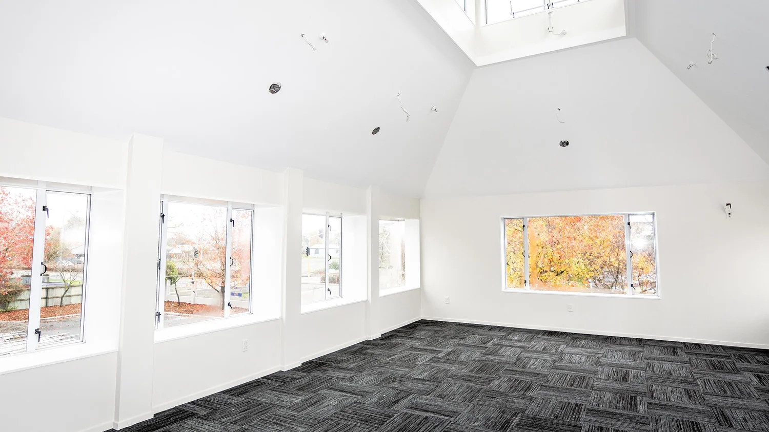 Interior walls and ceilings painted