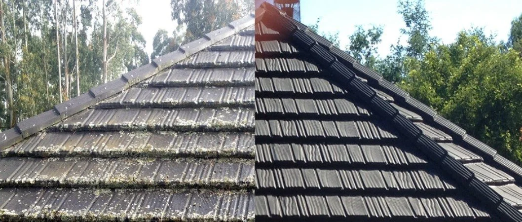 Roof being treated for moss and mould